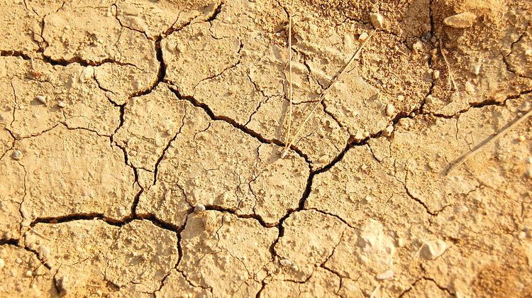 À RISQUE – Près de la moitié de l’Europe face à la sécheresse